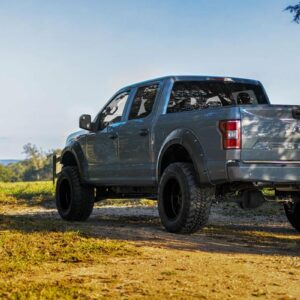 Fender Flares | Defender | BN Silver Spruce | Ford F-150 2WD/4WD (2015-2020)