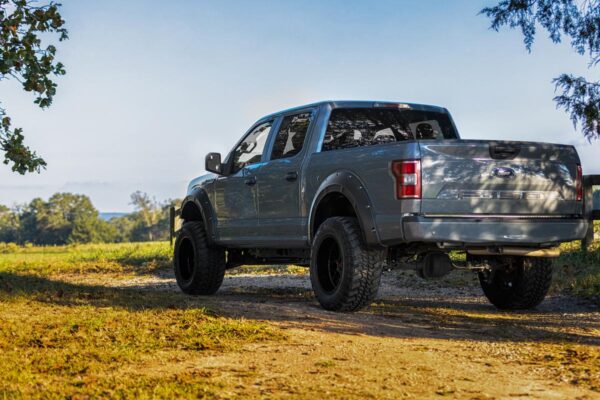 Fender Flares | Defender | FM Ford Performance Blue | Ford F-150 2WD/4WD (2015-2020)