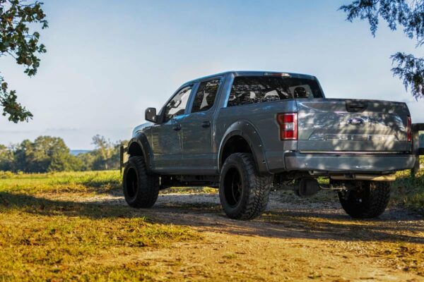Fender Flares | Defender | H5 Caribou | Ford F-150 2WD/4WD (2015-2020)